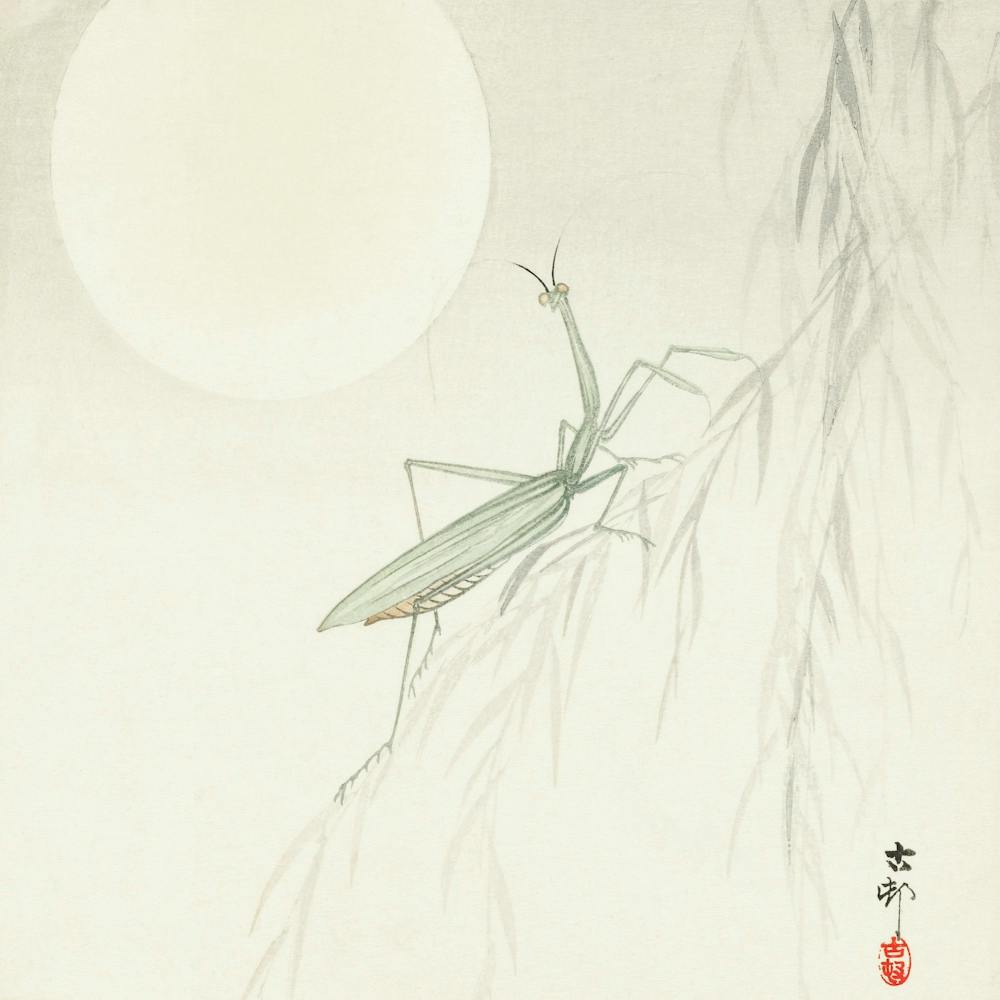 Praying Mantis (1900 1936), Ohara Koson