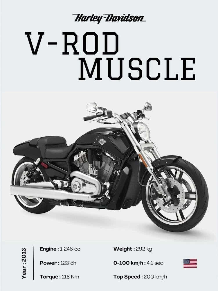 Harley Davidson V Rod
