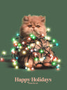 Festive Photography Art Prints