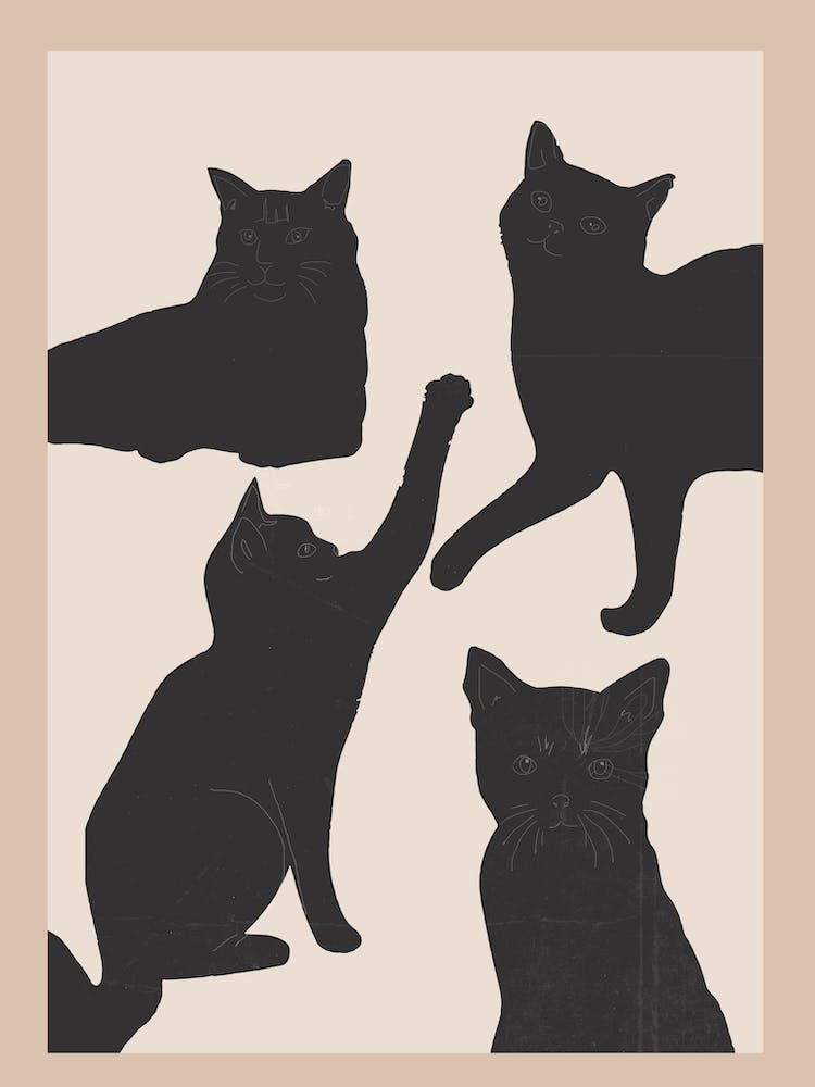 The Abstract Black Cats
