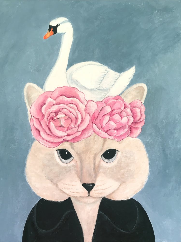 Cat And Swan