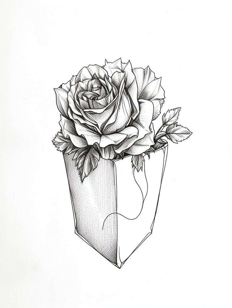 English Rose In A Pocket Line Drawing 1