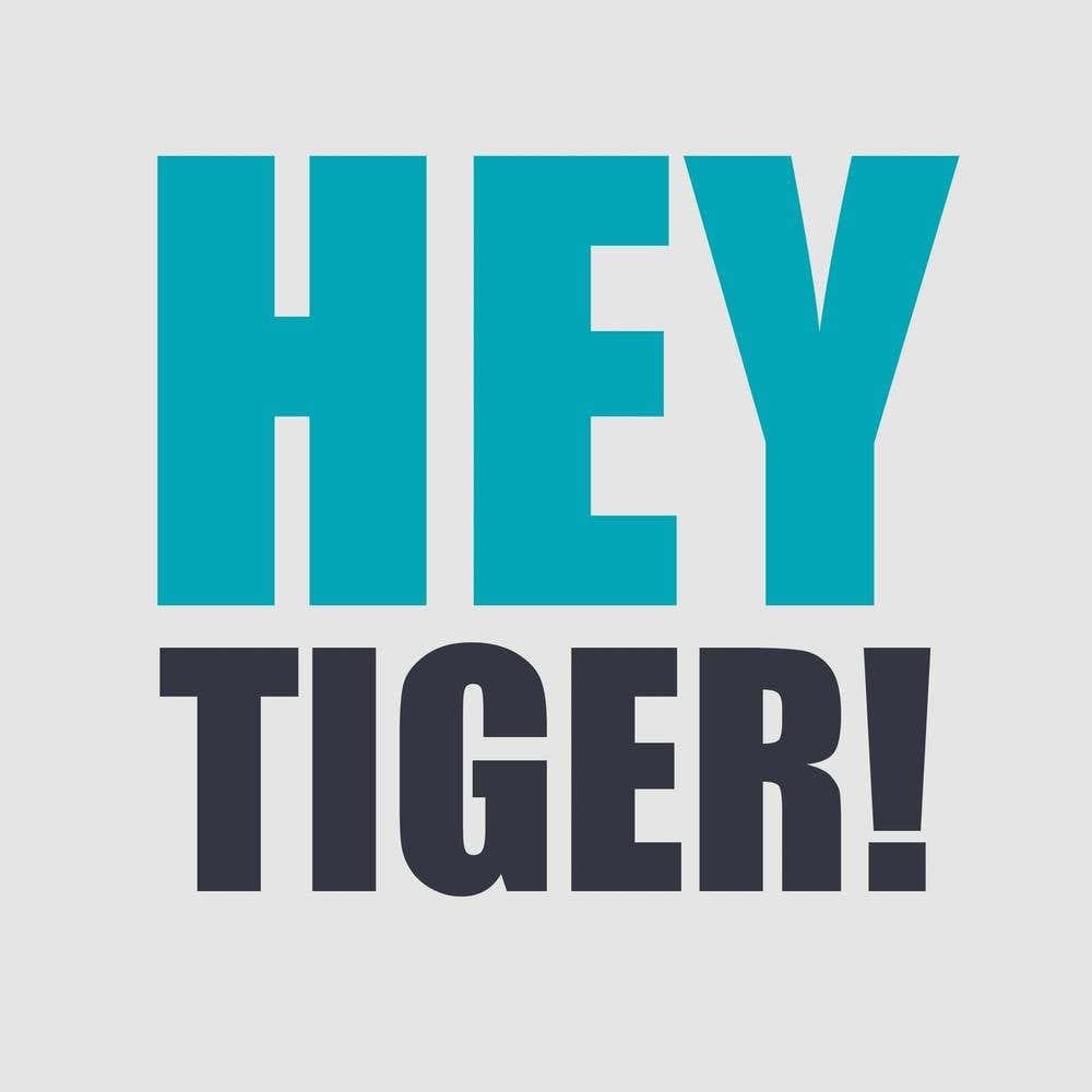 Hey Tiger All Blue Square