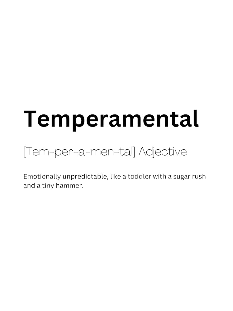 Temperamental Definition Meaning 1