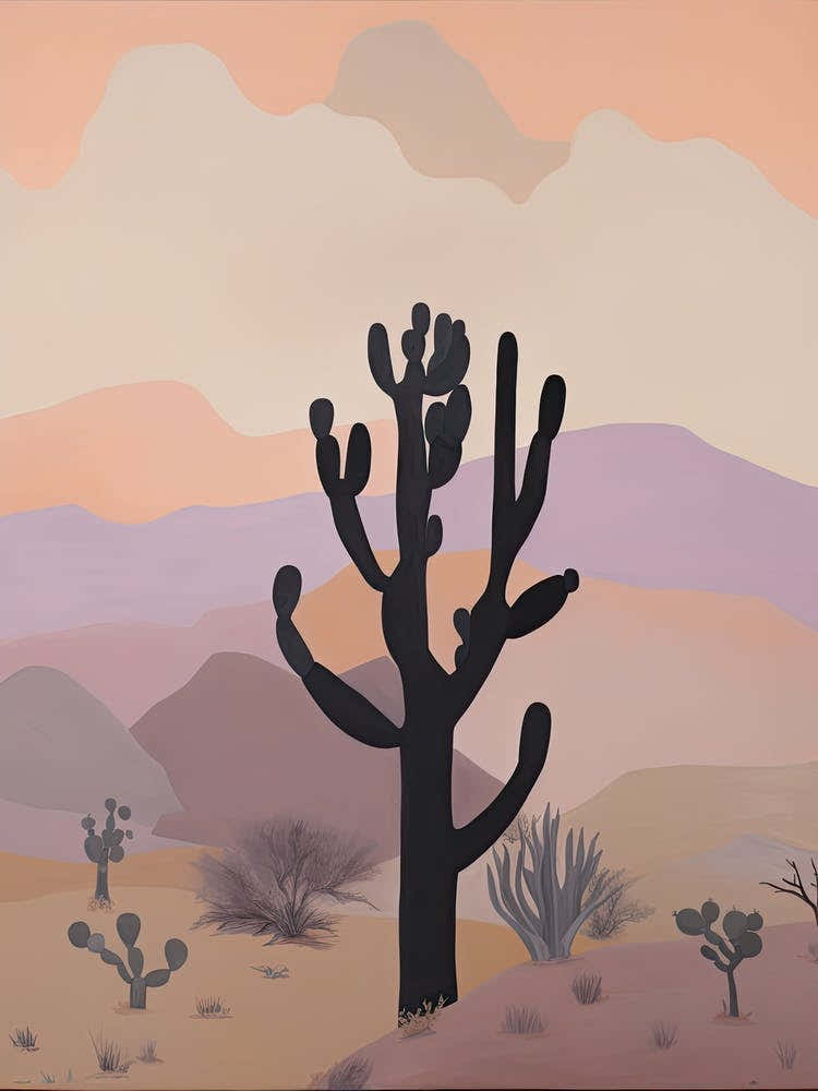 Chihuahuan Desert   North America (Mexico And United States), Contemporary Abstract Illustration 4