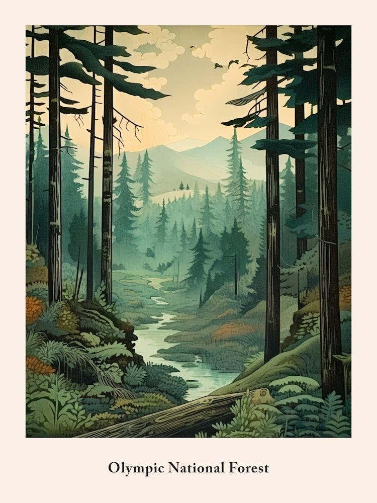 Olympic National Forest