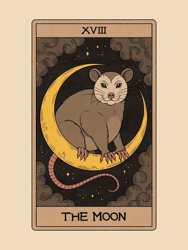 The Moon - Possum Tarot