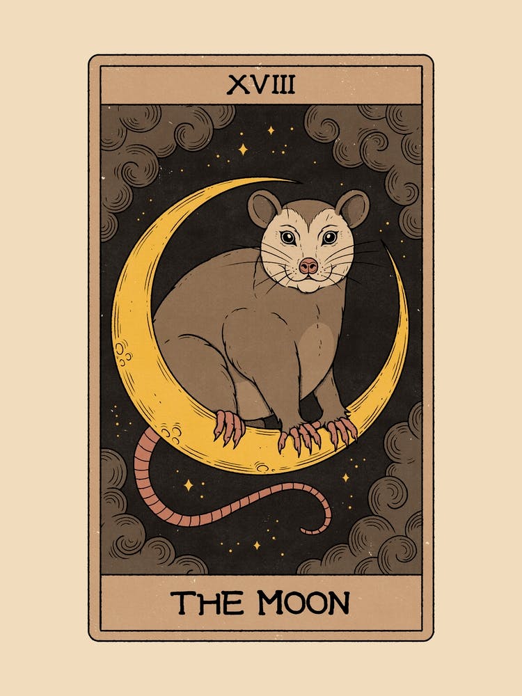 The Moon - Possum Tarot