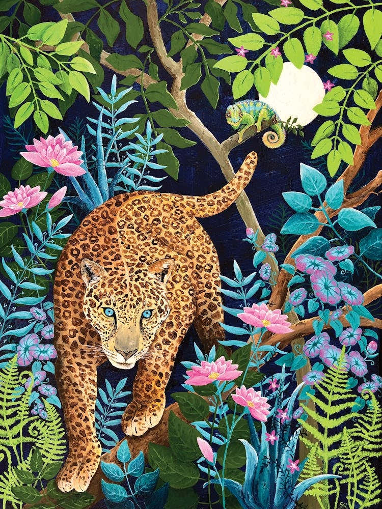 Leopard Jungle