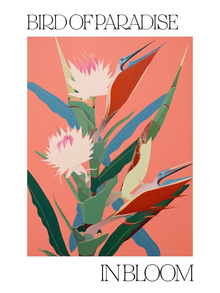 Bird Of Paradise In Bloom Flowers Bold Illustration 2