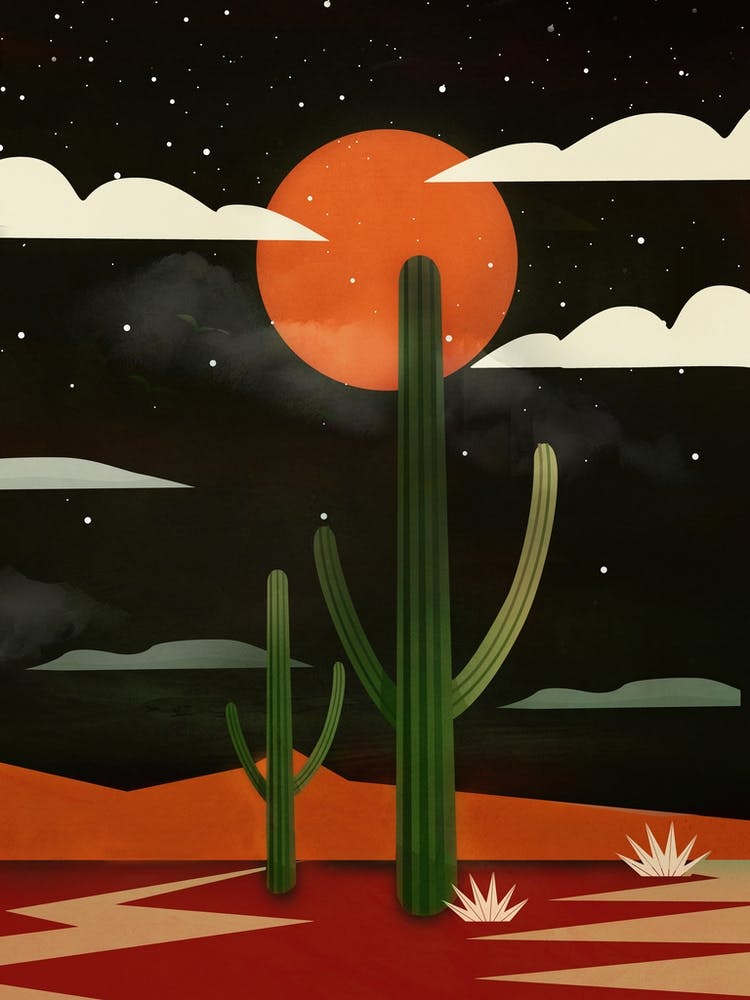 Starry Desert Night