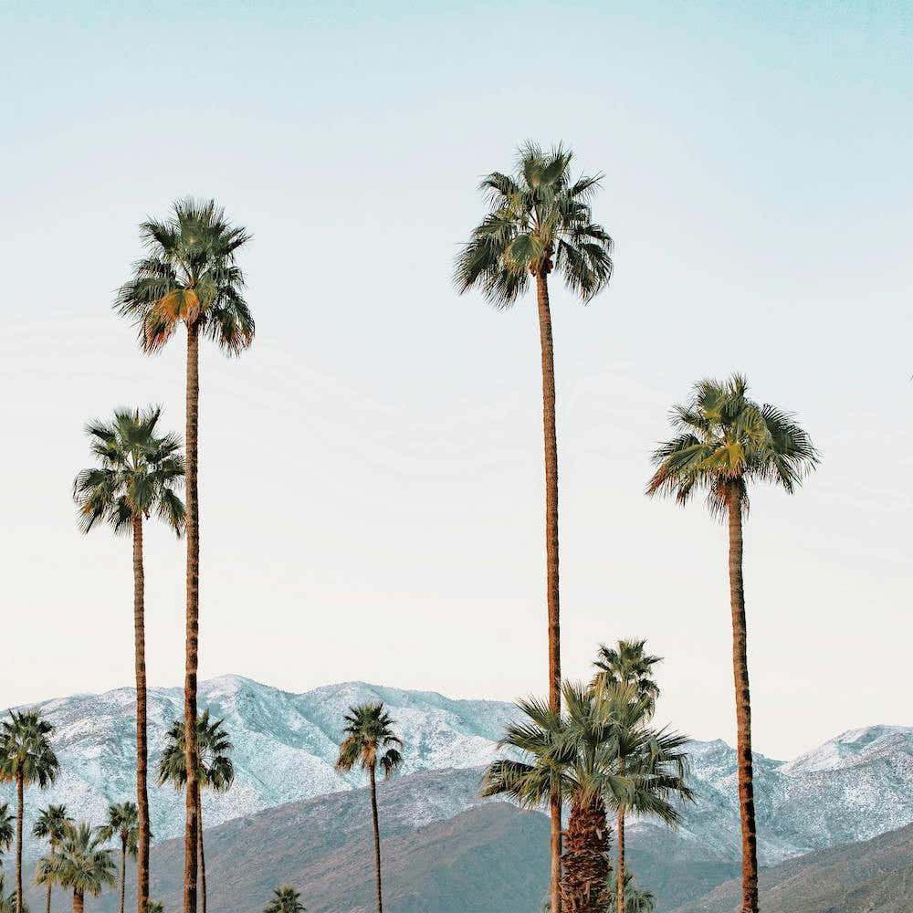Snow On Desert Mountains
