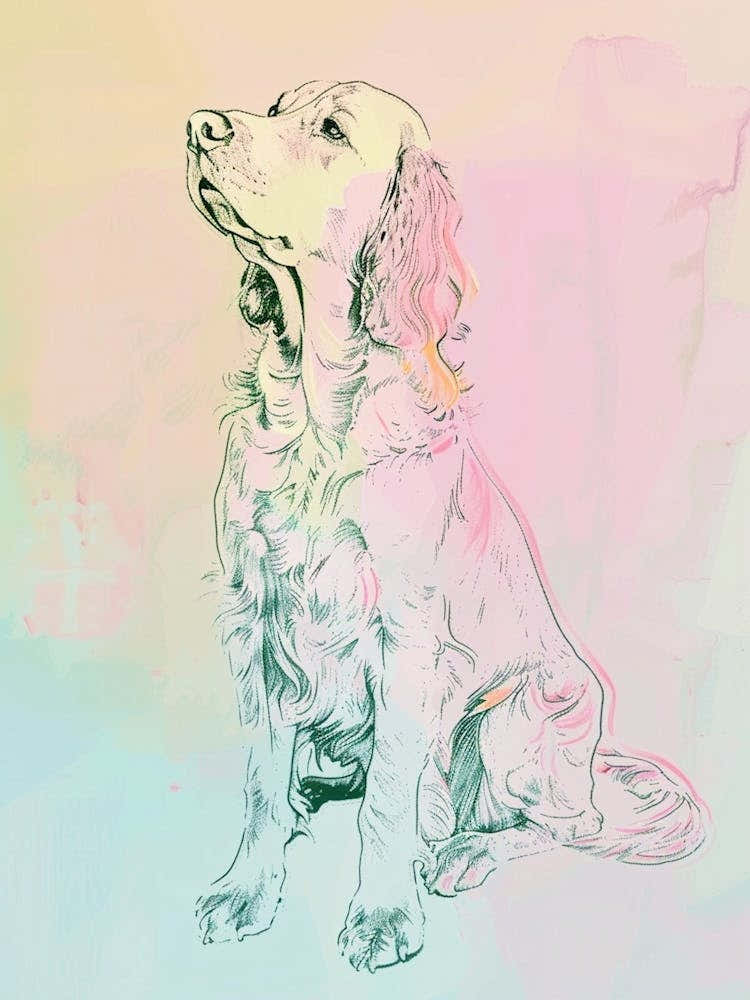 English Setter Dog Pastel Line Watercolour Illustration  3