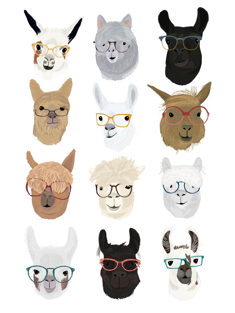 Llamas In Glasses