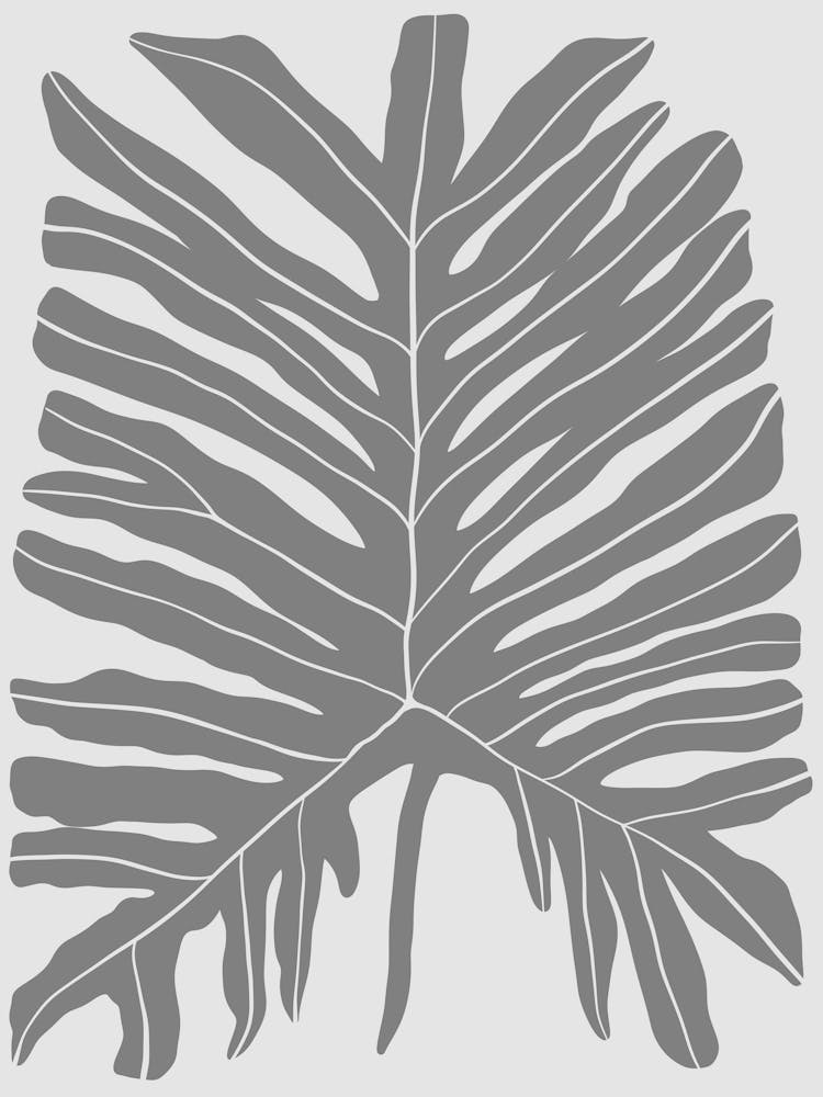 Palm Leaf