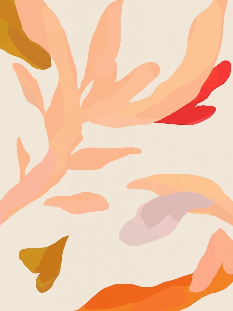 Abstract Desert Botanicals