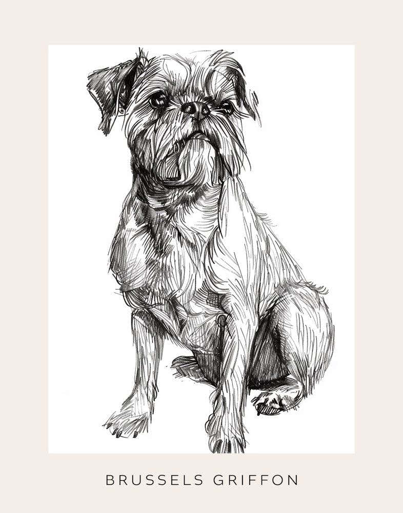 Brussels Griffon Line Sketch 3 Poster