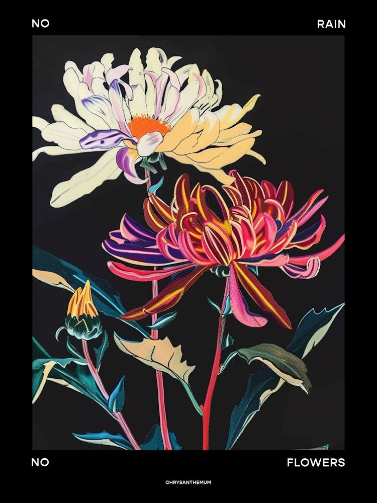 No Rain No Flowers Poster Chrysanthemum 2