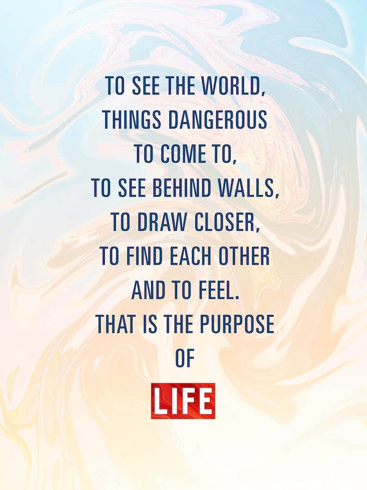 The Purpose Of Life Mitty