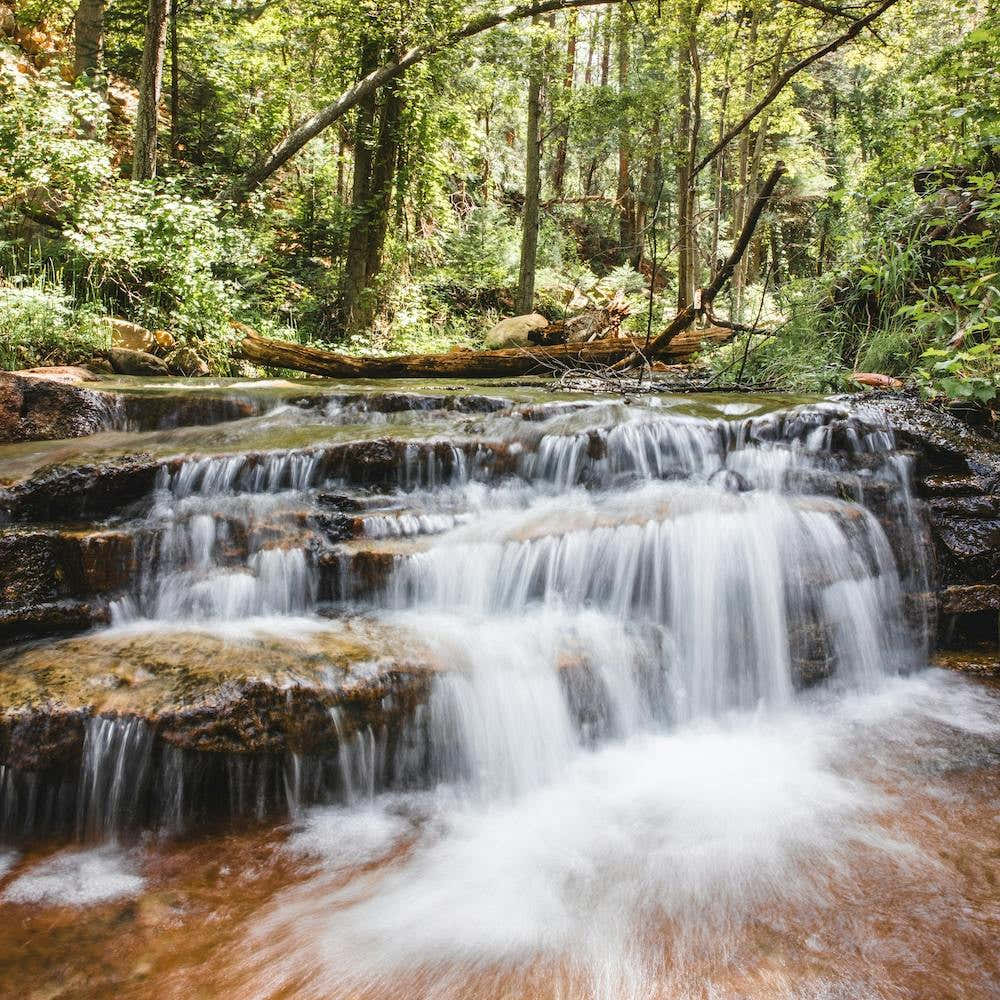 Forest Waterfall 1 Square