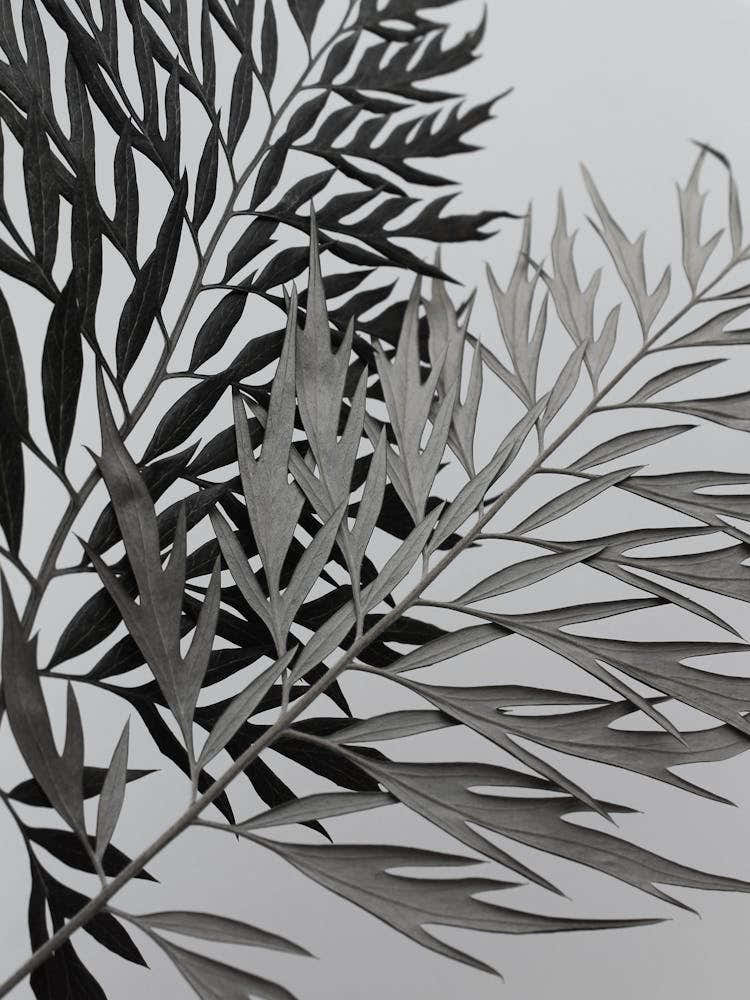 Vintage Retro Botanical Abstract Leaf