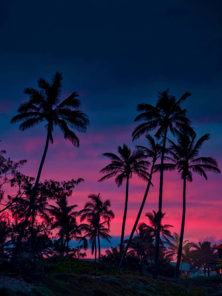 Tropical Dusk