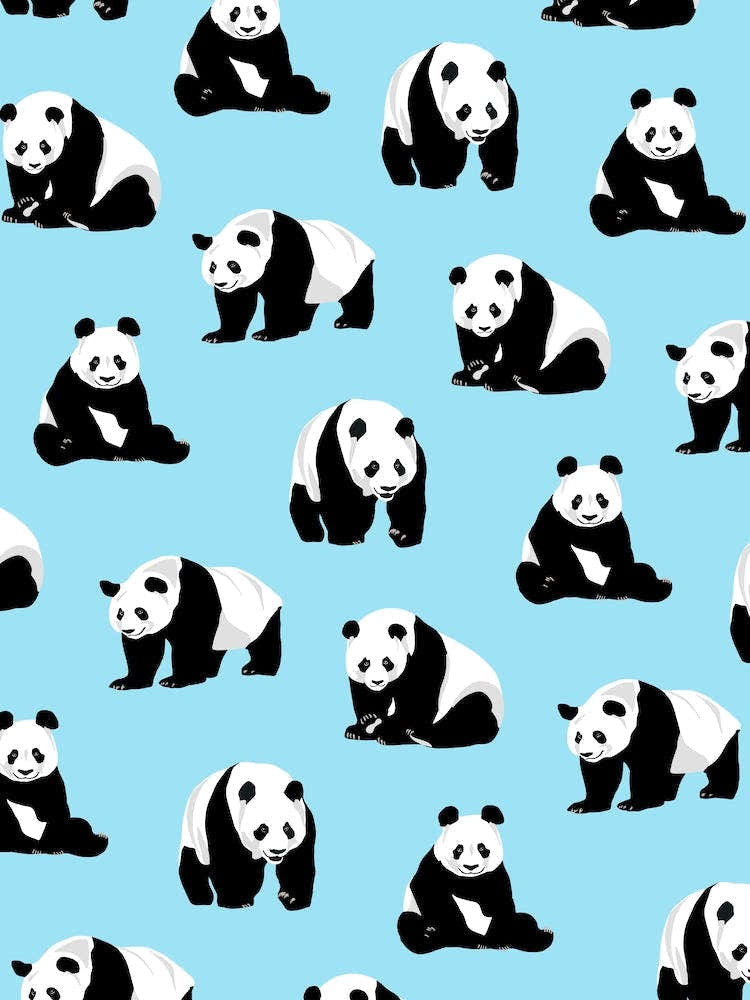 Panda Bears on Blue