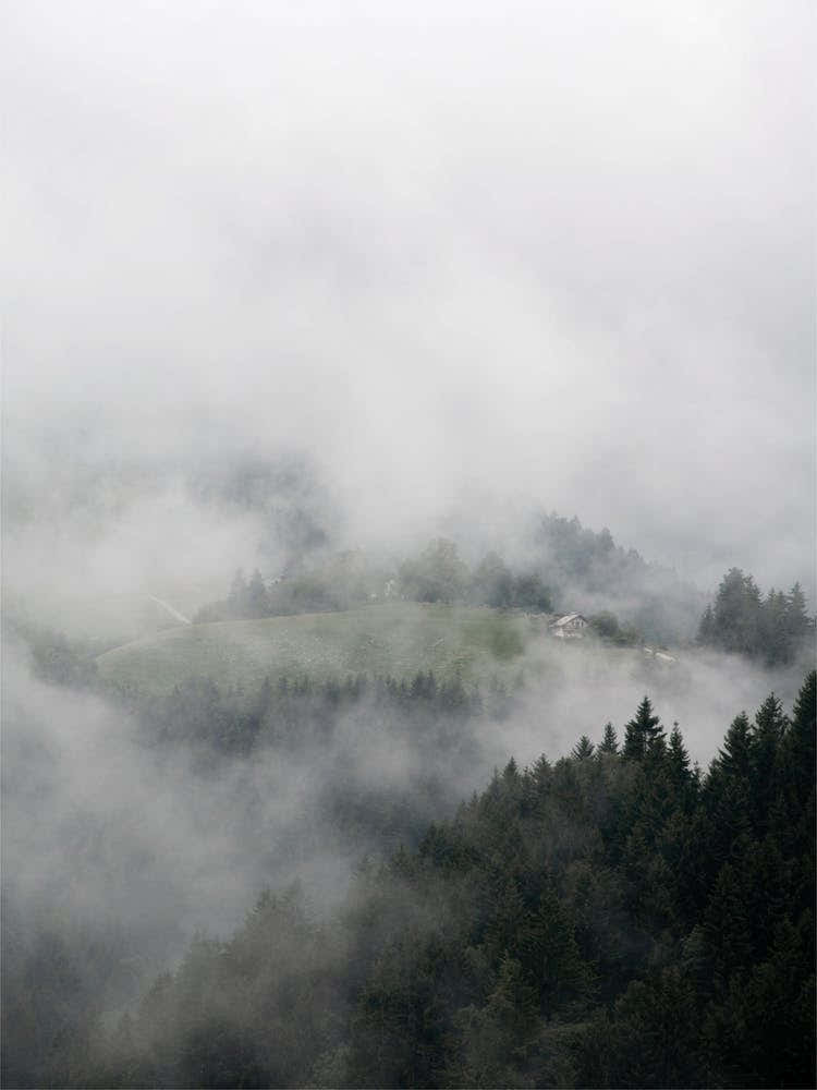 The House In The Mountains