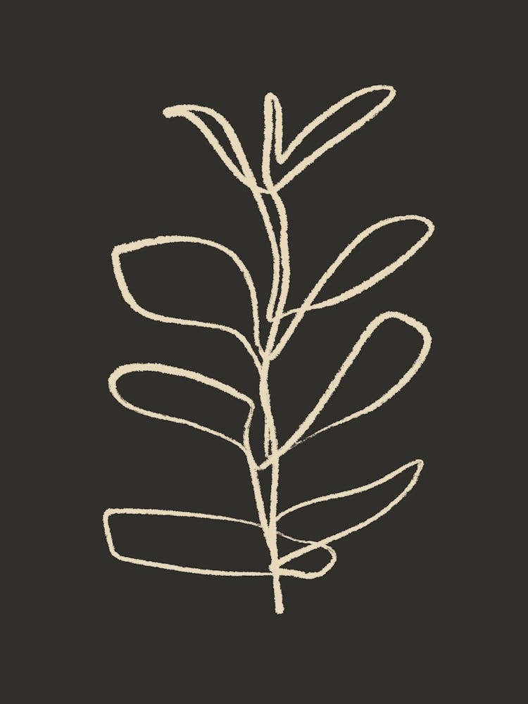 Leaf On A Black Background