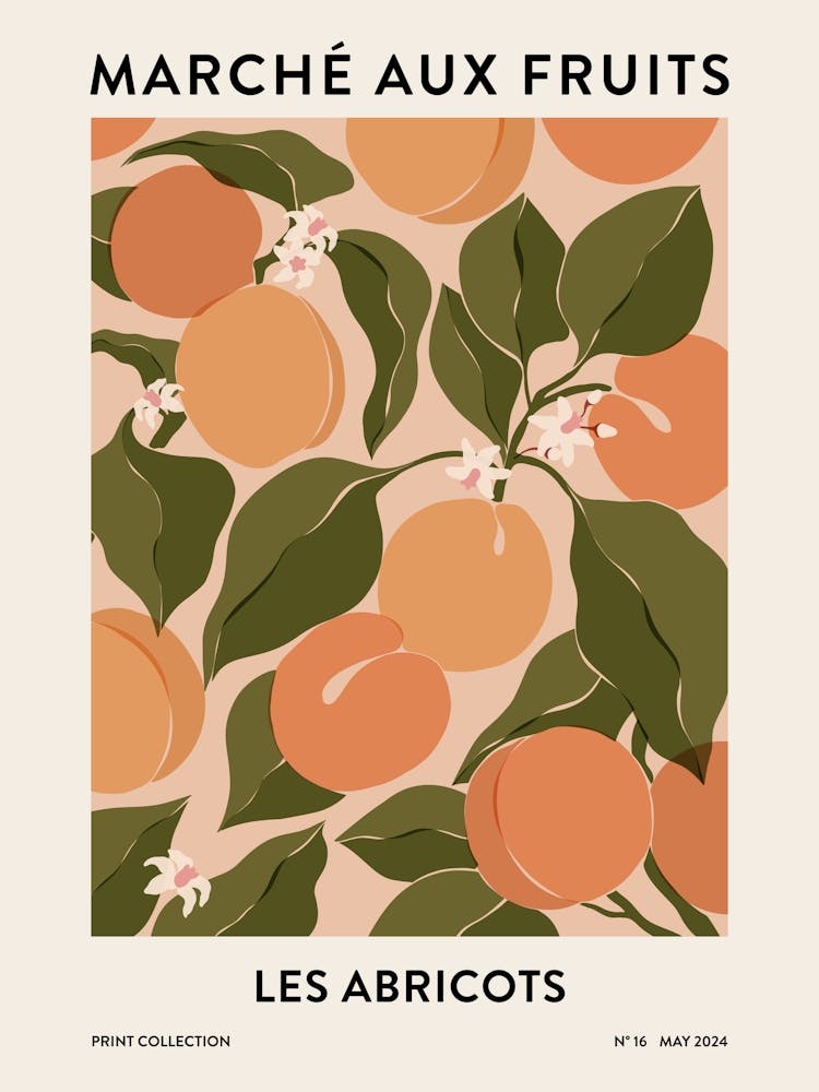 Fruit Market - Apricots