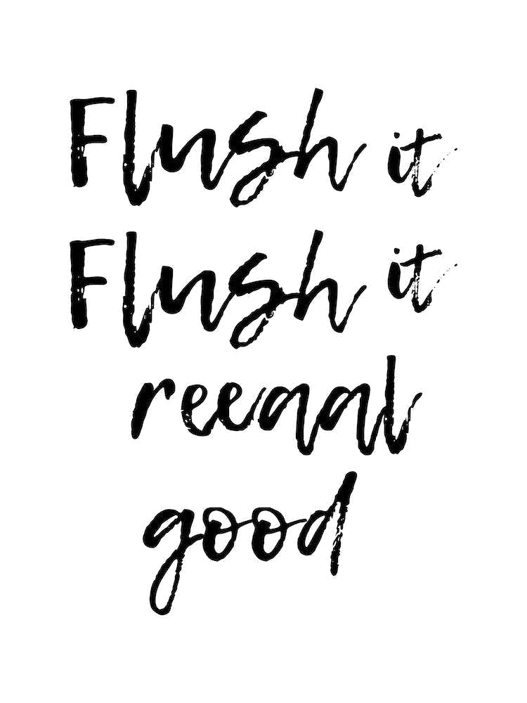 Flush It Flush It Reaal Good