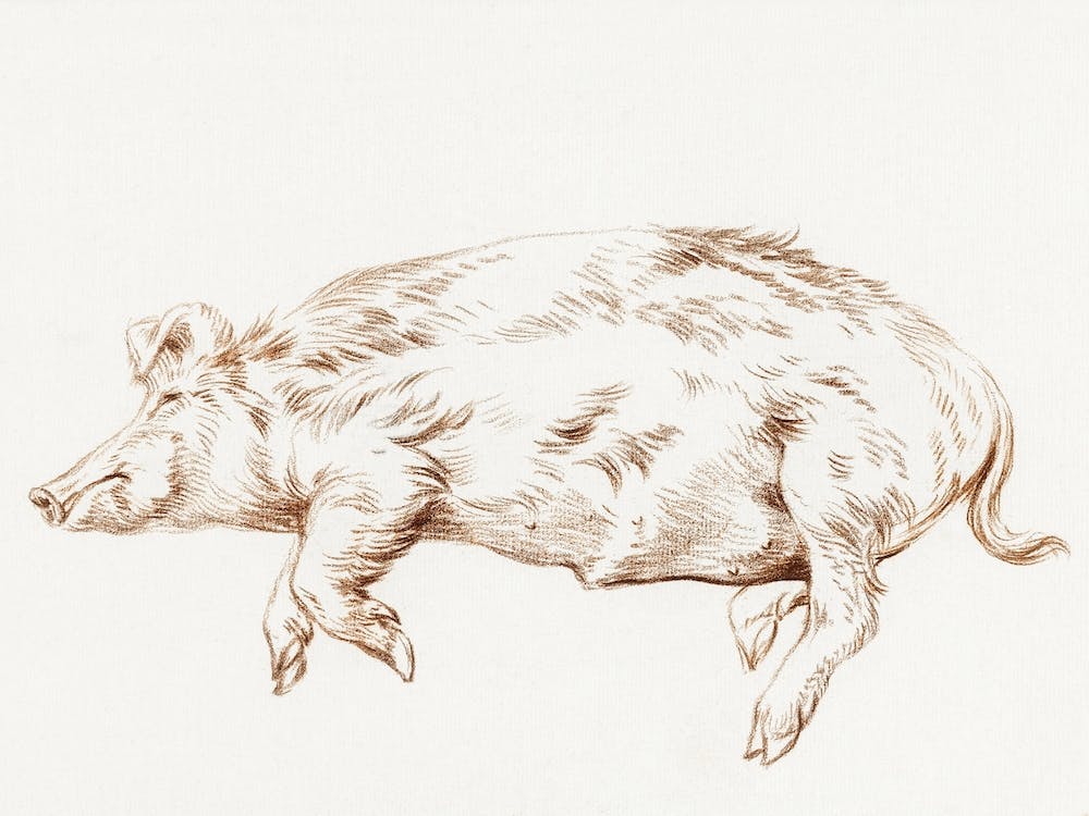 Lying Pig (1812), 1, Jean Bernard