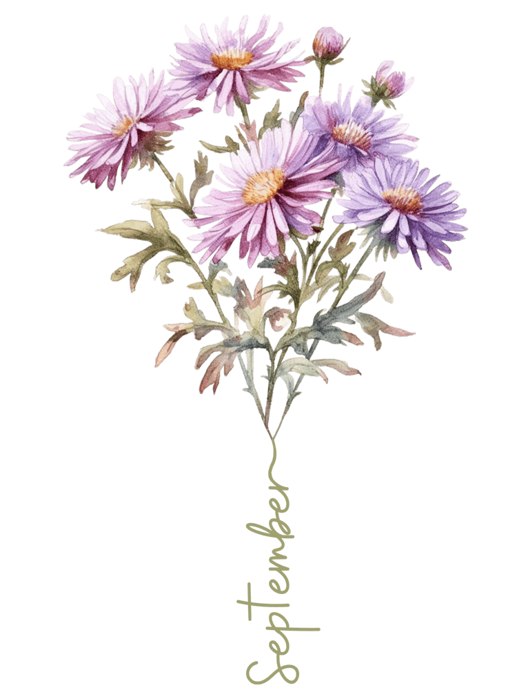September Birth Flower Birth Month Botanical 1