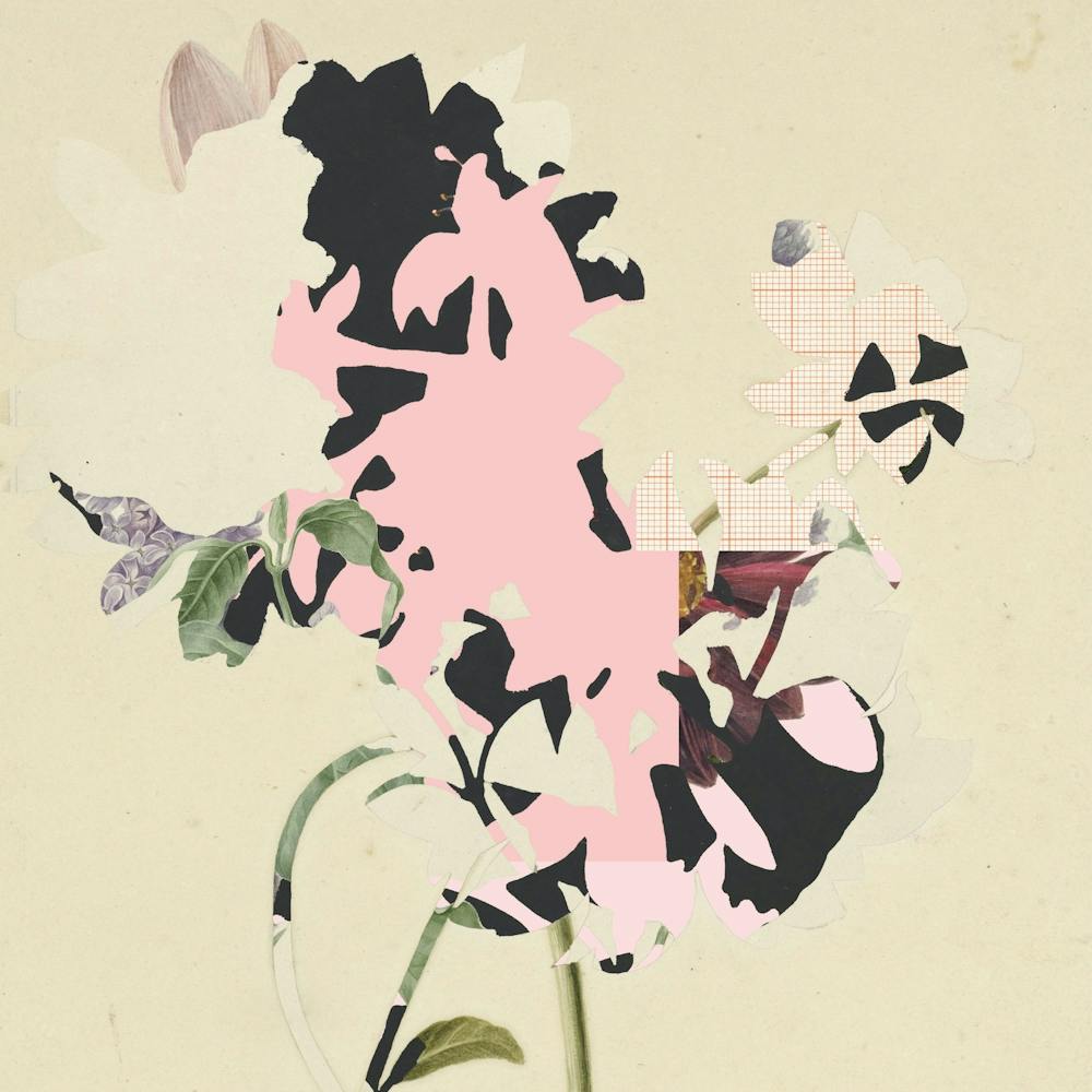 The First Plant · E2