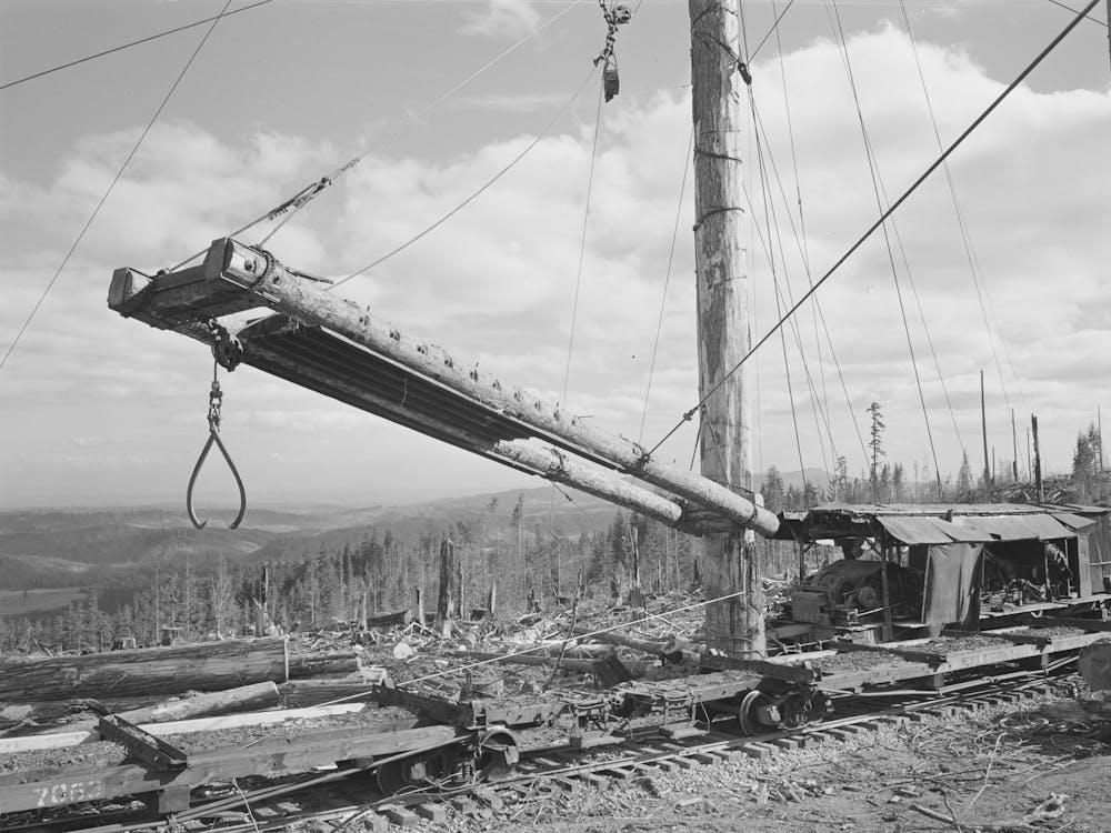 Long Bell Lumber Company, Cowlitz County, Washington, Loading Device Used At A Spar Tree For Placing Logs On