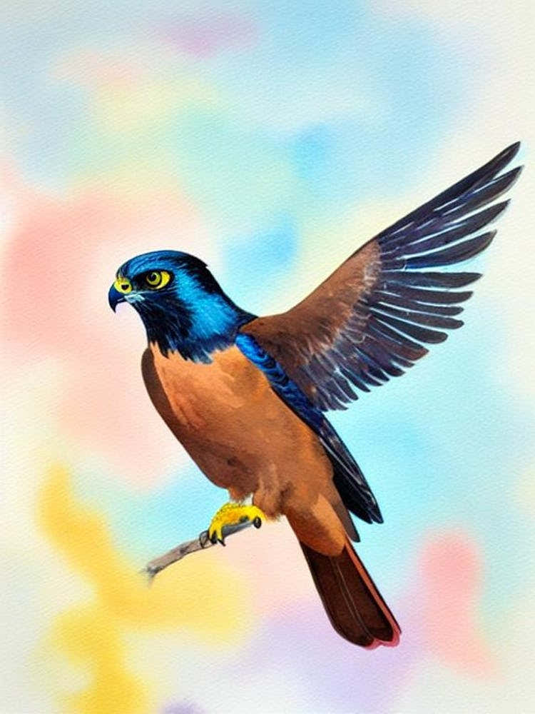 Falcon Watercolour Bird