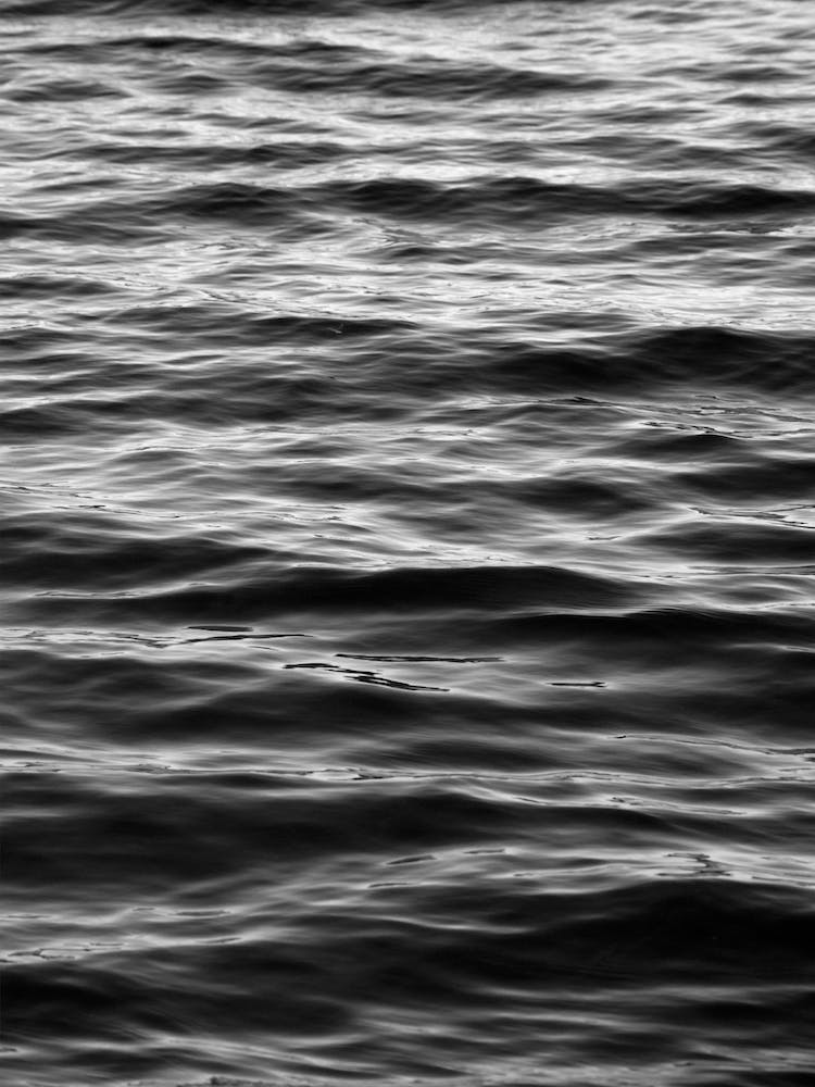 Black Ocean