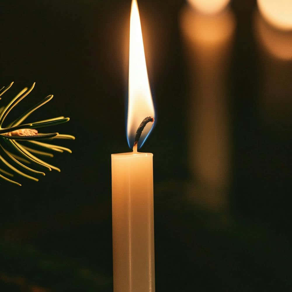 Candle On A Branch