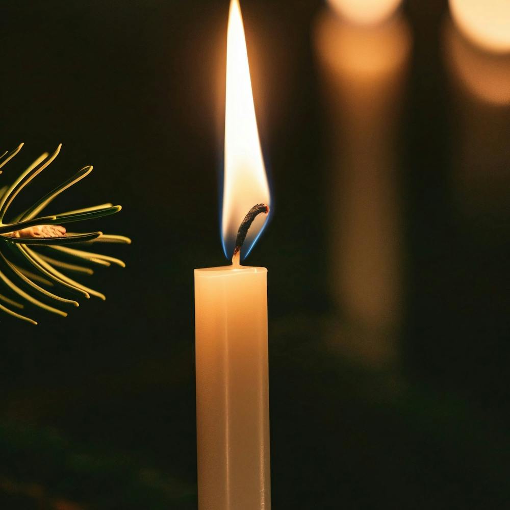 Candle On A Branch