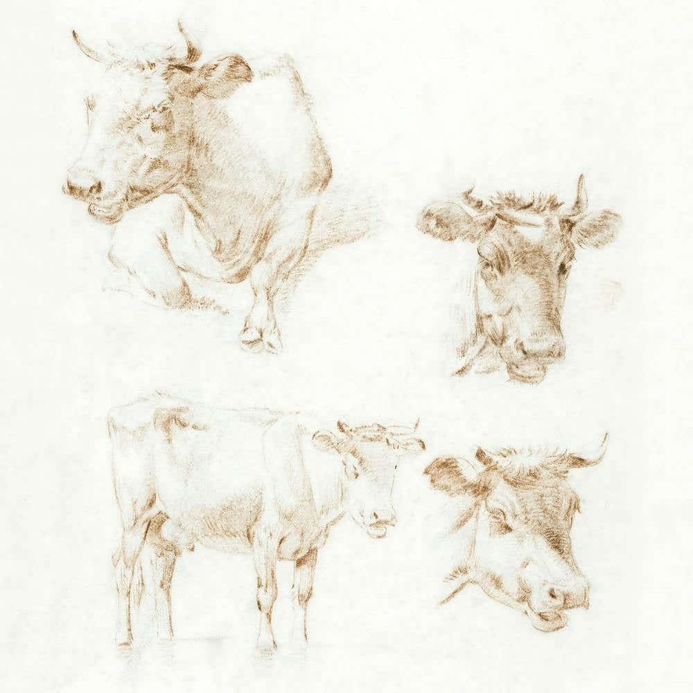 Four Cows, Jean Bernard