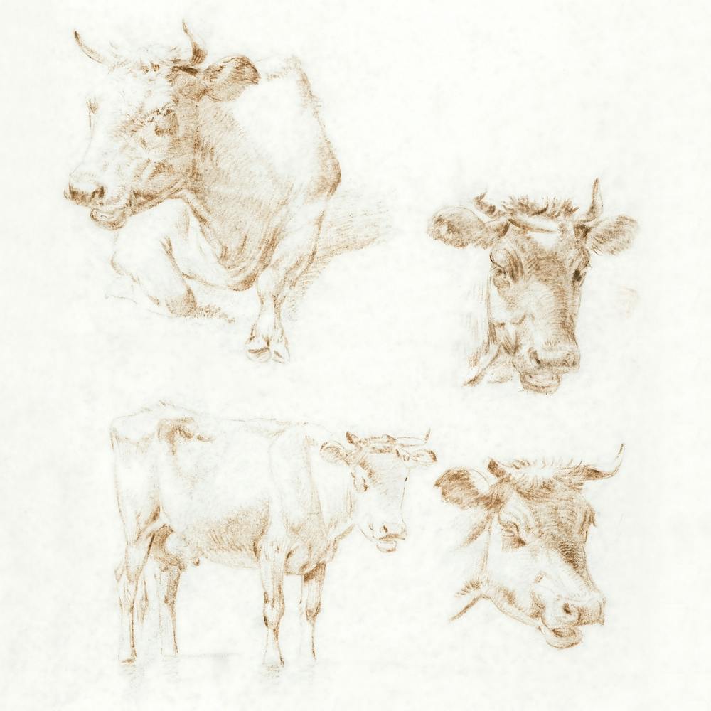 Four Cows, Jean Bernard