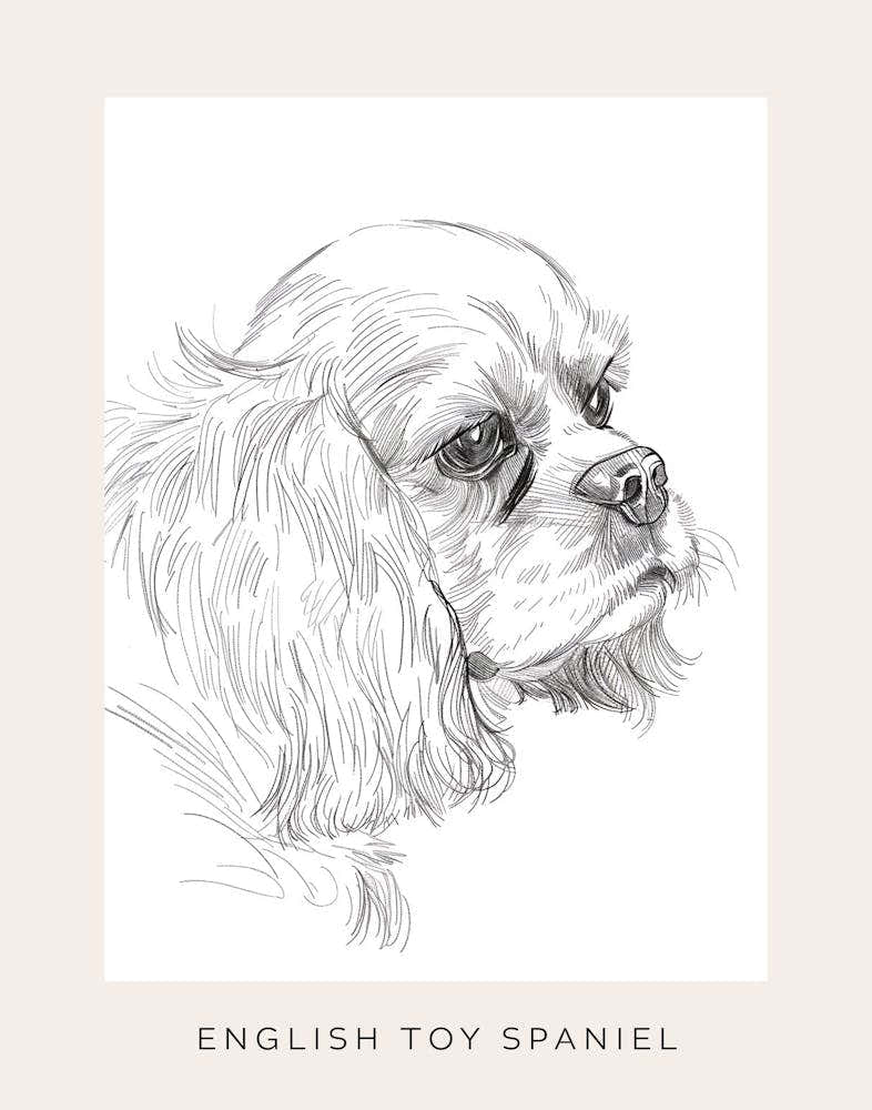 English Toy Spaniel Dog Line Sketch 1 Poster