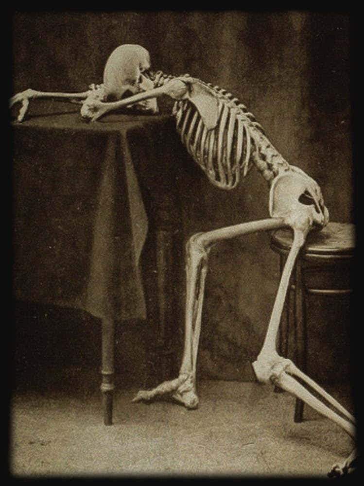 Drunk Skeleton by Albert Hasselwander - Skulls Dark Academia Biology Human Anatomy Wall Decor Funny Spooky Vintage Victorian Witchy Gothic Alcohol Weary Witchcore in Black and White