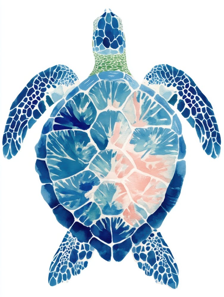 Sea Turtle Canvas Print 5