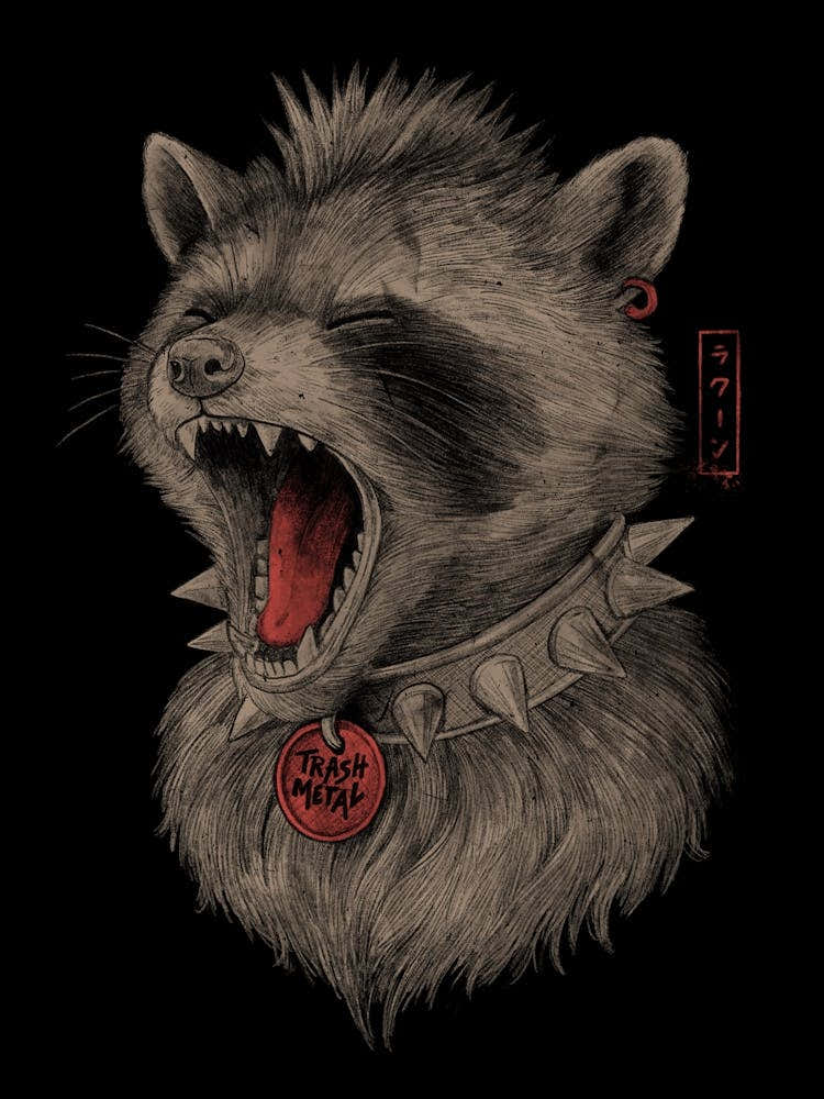 Trash Metal Raccoon Punk Panda 1