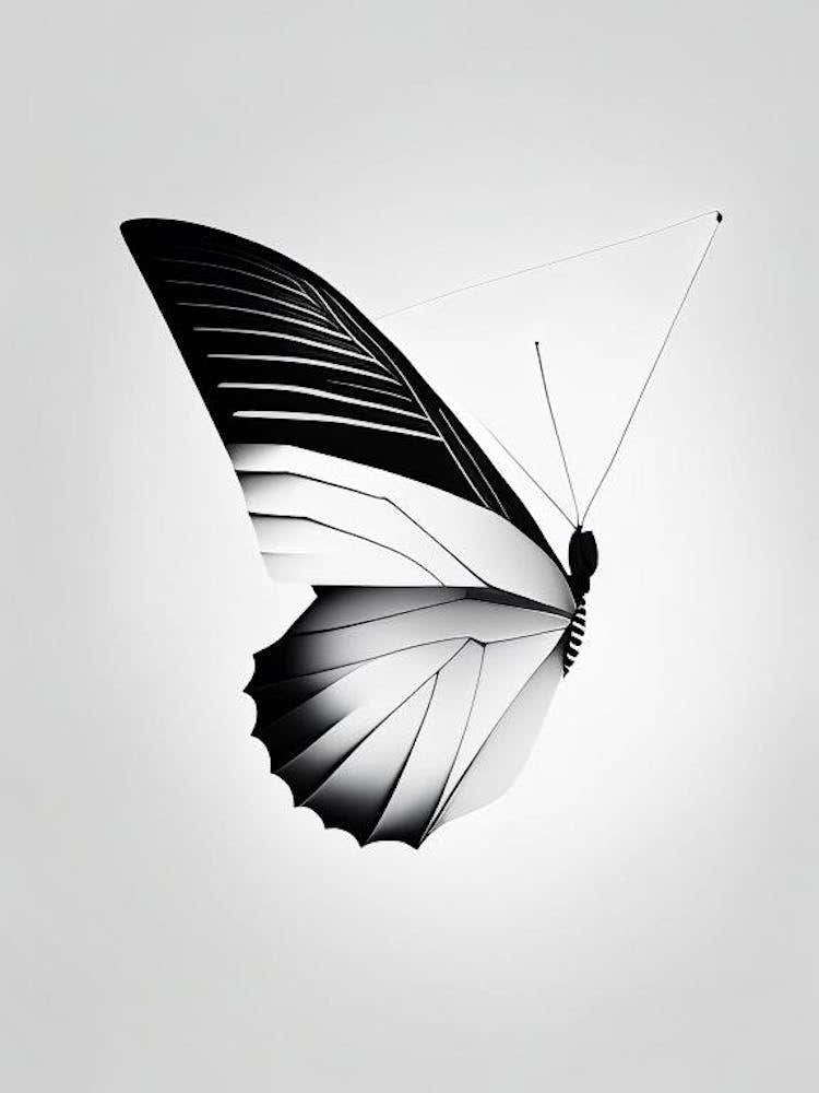 Butterfly Flying In Sky Black & White Geometric 1