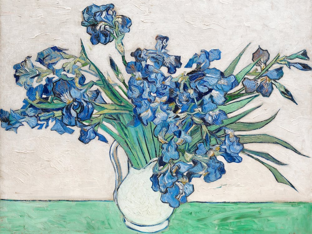 Irises, Vincent Van Gogh