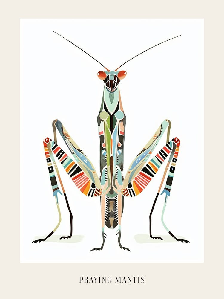 Colourful Insect Illustration Praying Mantis 16 Poster