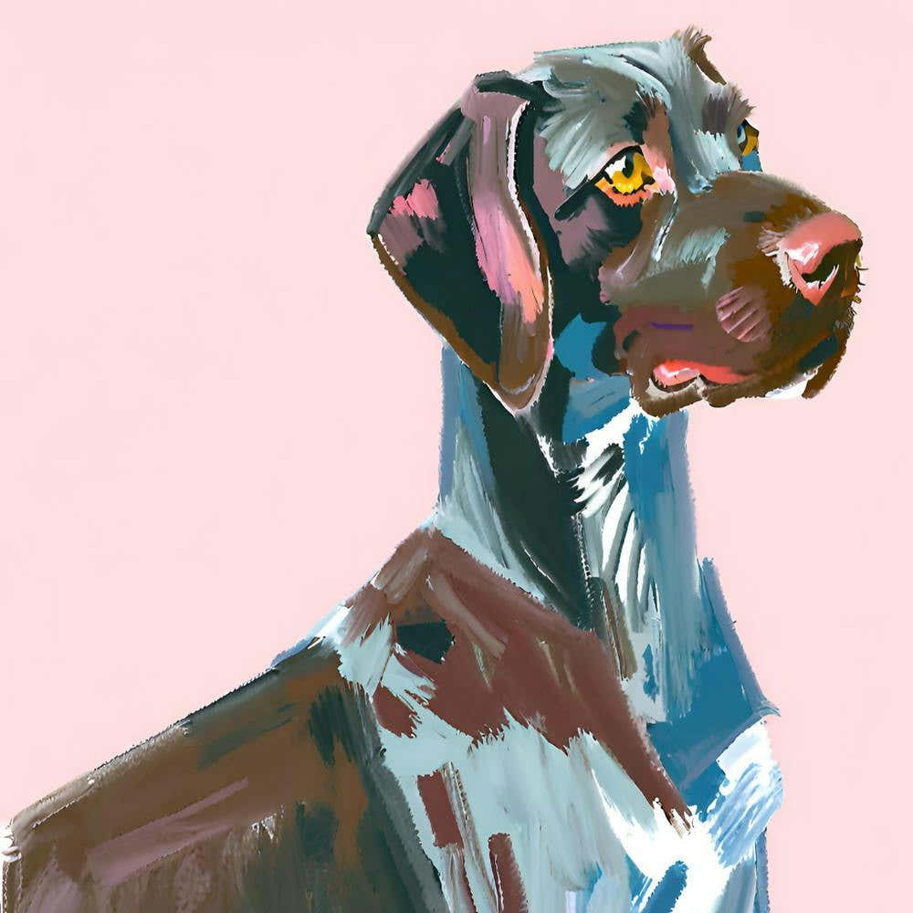 German Shorthaired Pointer 03