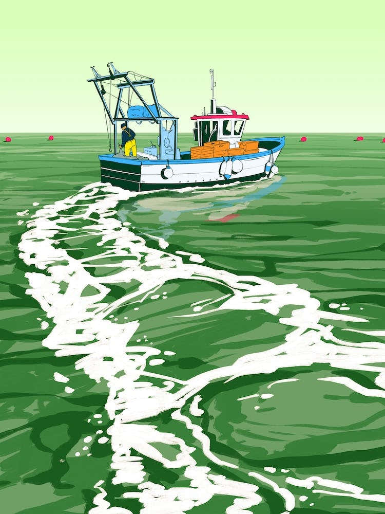 Oyster Trawler